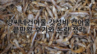 양씨네건어물: 갓성비 건어물 끝판왕? 후기와 논란 정리