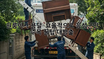 원룸이사 용달 🚚 효율적으로? 음성군민 주목! 꿀팁 대방출 ✨